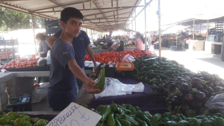 Meyve ve sebze fiyatları, yaz geldi geçiyor hala çok yüksek…
