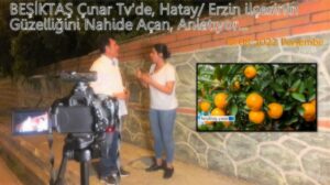 Hatay İli Erzin İlçesinin Güzelliğini ve İsteklerini Nahide Açan, Anlatıyor…