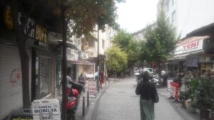 Beşiktaş’ta yürürken baktım; bu ağaçların zor dikildiği ile değil de; Ağaçların güzelliği ile ilgileniyorlar…