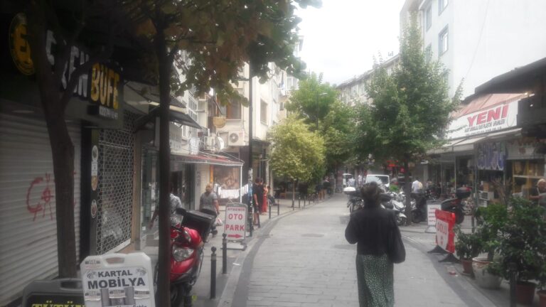 Beşiktaş’ta yürürken baktım; bu ağaçların zor dikildiği ile değil de; Ağaçların güzelliği ile ilgileniyorlar…