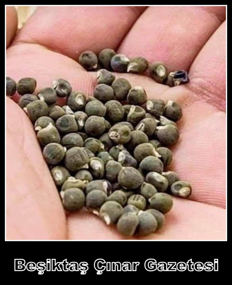 Ertan Yılmaz diyor ki; Bir zamanlar…