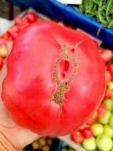 Mevsim geçişlerinde; mutlaka beslenmemize dikkat etmemiz gerekiyor!