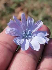 Bir kitap olup seni anlatsaydım eğer…