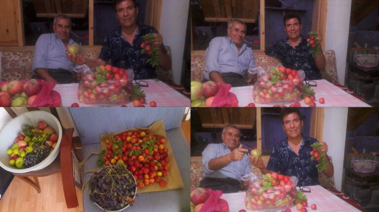 80. il Osmaniye Mitisin yaylasından…