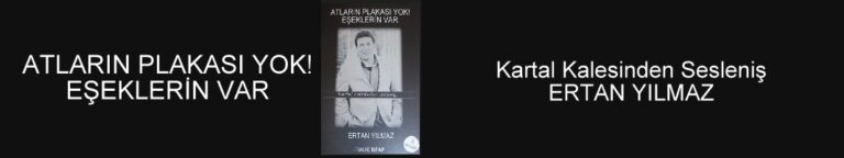 Atların Plakası Yok! Eşeklerin Var…