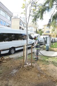 BEŞİKTAŞ’TA AYAZMA PARKI’NA YENİ AĞAÇLAR DİKİLDİ!..