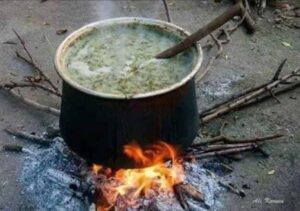 Çukurova’da Tirşik Pancarı olarak bilinir yapılan çorbaya da Tirşik denir ot normalde zehirlidir ama…