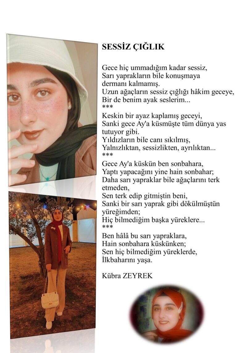 Sessiz Çığlık; Gece hiç ummadığım kadar sessiz, Sarı yaprakların bile konuşmaya dermanı kalmamış…