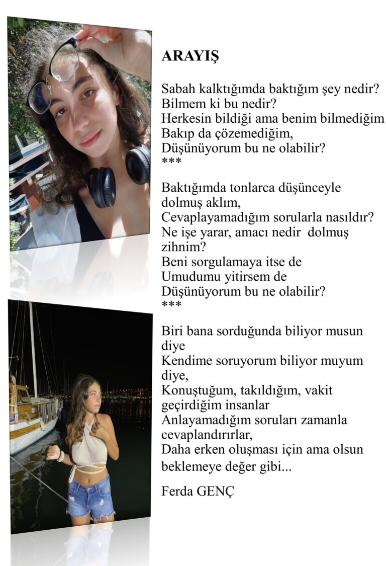 Arayış; Sabah kalktığımda baktığım şey nedir, Bilmem ki bu nedir?