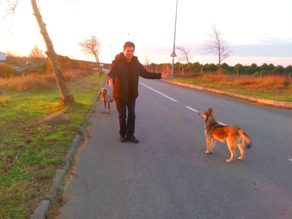~SOKAK KÖPEKLERİ~