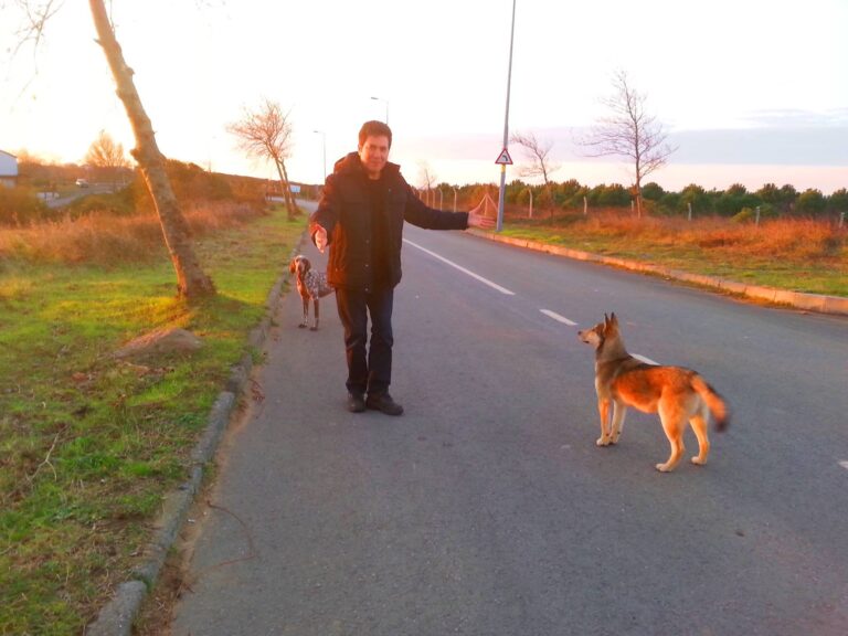 ~SOKAK KÖPEKLERİ~