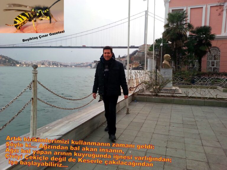  Ağzından Bal Akan Adamın… Ağzı Bal Yaman Arının… Çiviyi Keserle Çakmanın… Deyim Anlamı Nedir?