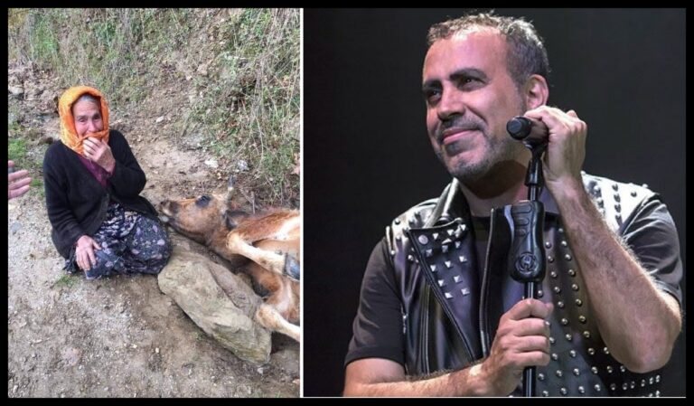 Denizli’de Sabiha Özel’in ‘Fatma’ ismini verdiği ineği, uçurumdan düşerek telef oldu. Adanalı sanatçı Haluk Levent, yaşlı kadına iki tane inek alıp hediye etti…