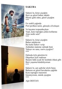 Sakura’m, kiraz çiçeğim, Beni şu güzel, bahar sabah, Hüzne gark eden, güzel çiçeğim…