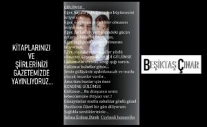 Kitaplarınızı ve Şiirlerinizi Beşiktaş Çınar’da Yayınlıyoruz…