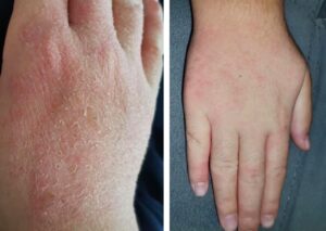 “Şeyh Yusuf el – Hekim Ocağı”