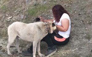 DOĞAYI KABUL ET YAŞA HİSSET YENİ YERLER GÜZELLİKLER KEŞFET…