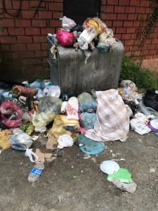 Bölgemizde Yaylalarda Son Durum Bugün çöp atarsan yarın o çöplükte yaşarsın…