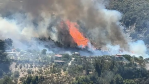 Belen ilçesinde, yerleşim yerine yakın bir bölgede başlayan orman yangınına havadan ve karadan müdahale ediliyor…