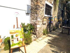 Hatay Günleri İstanbul Kapıkule’de Muzaffer Gür, resimleri ile dikkat çekti…