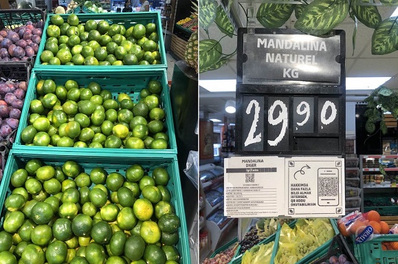 “ERZİN YONCDÜZÜ HAHALLE MUHTAR YARDIMCISI YUNUS DALKILIÇ DİYOR Kİ”