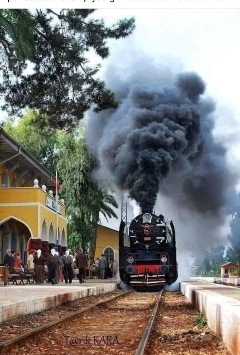 Ceyhanlı; Ne güzel insanlar var Mütevaziliği elden bırakmayan Kimseye tepeden bakmayan sağ duyulu yaşayan…
