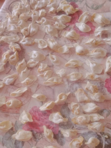 Beşiktaş Çınar Köşe yazarından yaptığı Mantı kareleri…