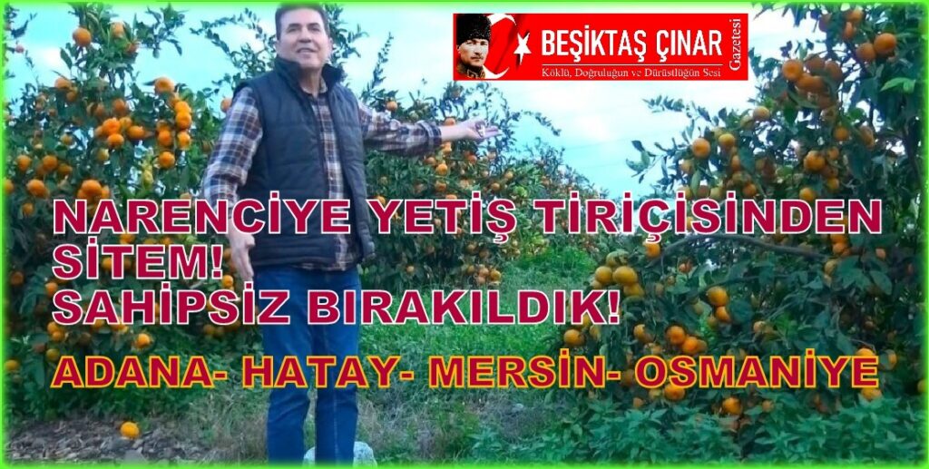 Narenciye Yetiştiricisinden Sitem! Sahipsiz Bırakıldık!