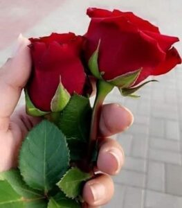 8 Mart Dünya Kadınlar Günü Kutlu Olsun…