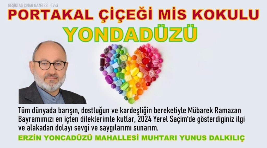 PORTAKAL ÇİÇEĞİ MİS KOKULU ERZİN YONCADÜZÜ