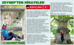 ZEYNEP’TEN HİKAYELER: EY KOCA ÇINAR!!!