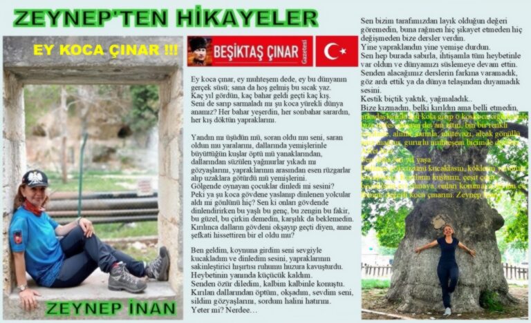 ZEYNEP’TEN HİKAYELER: EY KOCA ÇINAR!!!