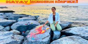 İskenderun Körfezi’nde Zümrüdü Anka Kuşu: Edanur Sarar’ın Kayalara Kazandırdığı Sanat…