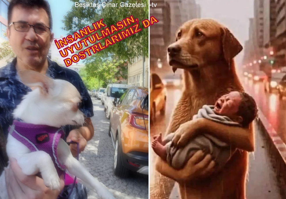 Dört Ayaklı Dostlar İçin Büyük Tepki: Uyutulmasın!