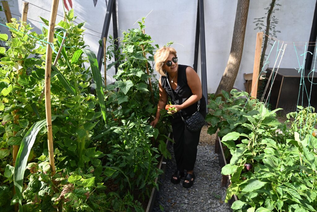 KONAKLAR BOSTANI İLK MAHSULLERİNİ VERMEYE BAŞLADI