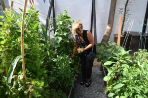 KONAKLAR BOSTANI İLK MAHSULLERİNİ VERMEYE BAŞLADI