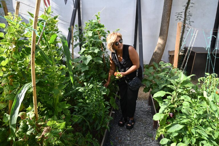 KONAKLAR BOSTANI İLK MAHSULLERİNİ VERMEYE BAŞLADI