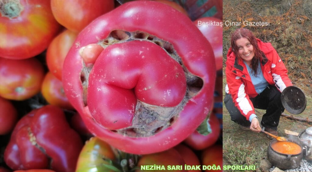 Neziha Sarı ve İDAK: Doğanın ve Kültürün Kalbine Yolculuk…