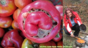 Neziha Sarı ve İDAK: Doğanın ve Kültürün Kalbine Yolculuk…