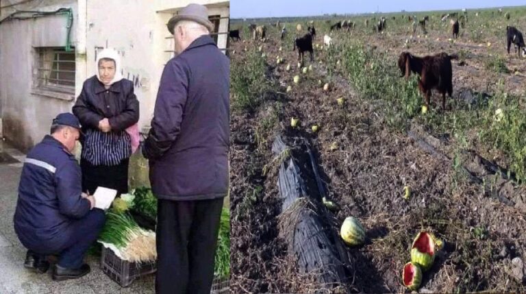 Tarımda Kriz Derinleşiyor: Büyük Üreticiler ve Küçük Çiftçiler Mağdur Ediliyor…