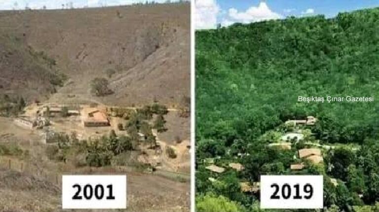 Brezilya’da Bir Çift 18 Yılda İnanılmazı Gerçekleştirdi…