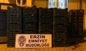 Erzin’de Narenciye Hırsızlığı…