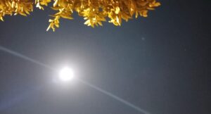 Ay Işığı Seyret Sabret Sabret ki Her Şey Hissettiğin Kadar Derin Sonsuz Olsun…