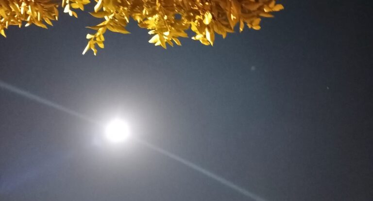 Ay Işığı Seyret Sabret Sabret ki Her Şey Hissettiğin Kadar Derin Sonsuz Olsun…