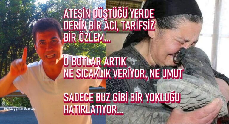 Barış mı Dediniz? Şehit Annesinin Sessiz Çığlığına Kulak Verin!