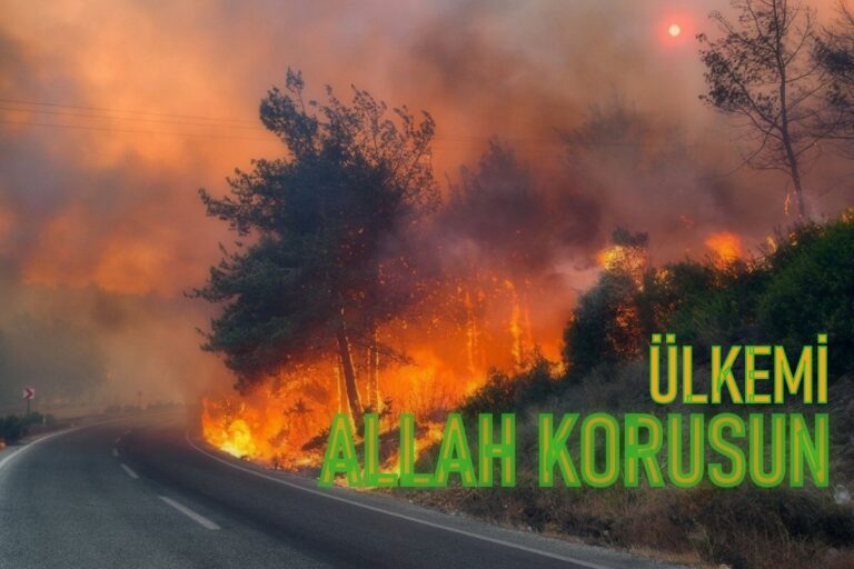 Yangınlarda şehit olan orman görevlilerimize başsağlığı mesajı…