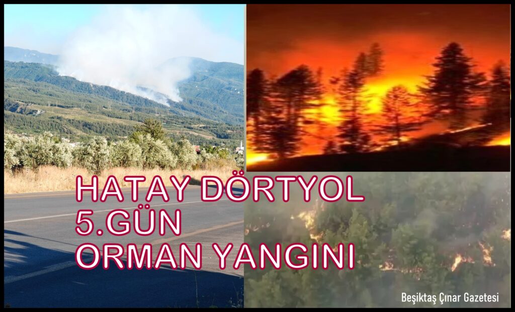 Hatay Dörtyol’da Yangınla Mücadele Devam Ediyor… Ateş Düştüğü Yeri Yakıyor…