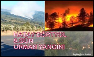 Hatay Dörtyol’da Yangınla Mücadele Devam Ediyor… Ateş Düştüğü Yeri Yakıyor…