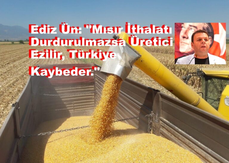 Ediz Ün: “Mısır İthalatı Durdurulmazsa Üretici Ezilir, Türkiye Kaybeder.”