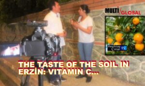 ERZİN DİYARINDA TOPRAĞIN TADI: “C” VİTAMİNİ…